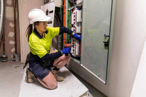 Best Electric Panel Repair  in Rochester, MN